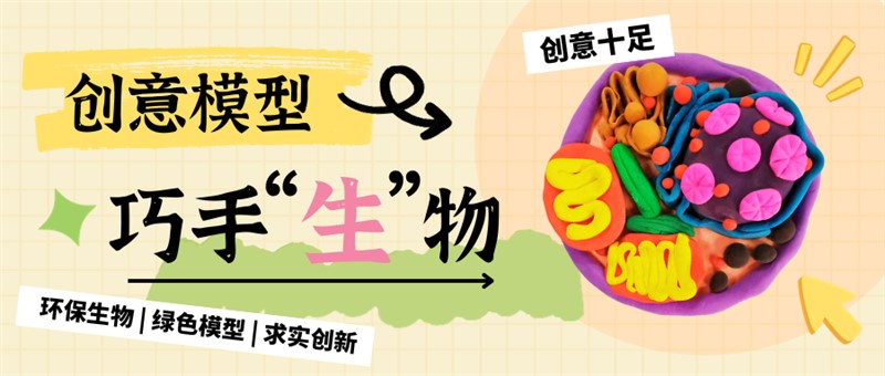 创意模型 巧手“生”物|高一年级生物模型制作大赛
